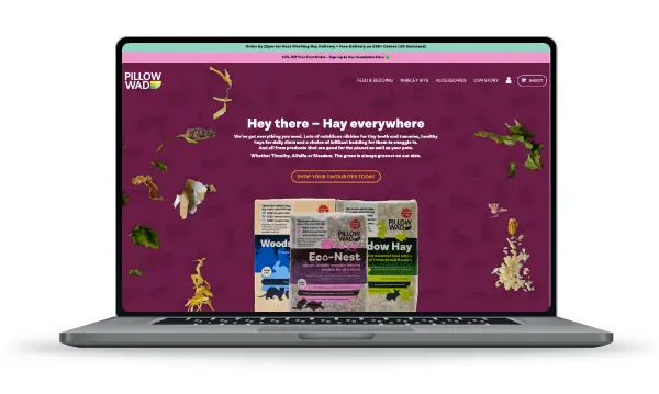 Desktop user experience of the Pillow Wad website