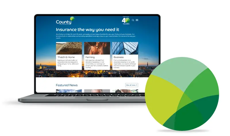 County website example with County Logo